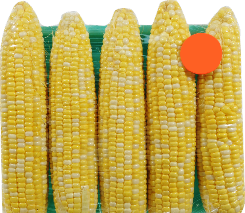 Fresh Sweet Corn on the Cob-5 Count Perspective: front