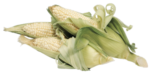 White Corn Perspective: front