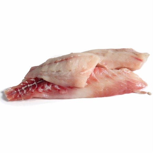 Grouper Filet Perspective: front