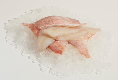 Wild Caught Ocean Perch Fillet Perspective: front