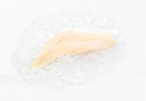 Wild Caught Orange Roughy Fillet Perspective: front