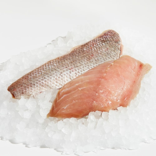 Red Snapper Fillets Perspective: front