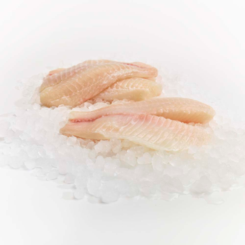 Farm Raised Tilapia Fillets Perspective: front