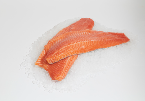 Farm Raised Steelhead Trout Fillets Perspective: front