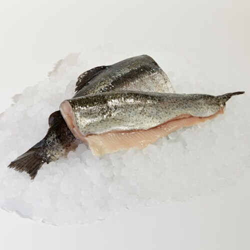 Rainbow Trout Fillets Perspective: front
