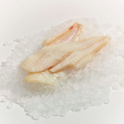 Wild Caught Lake Whitefish Fillet Perspective: front