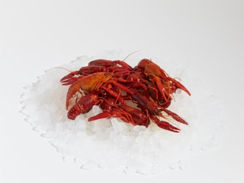Whole Cooked Crawfish Perspective: front
