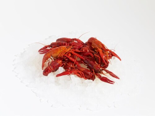 Whole Cooked Crawfish Perspective: front