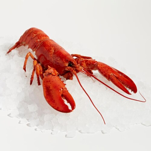 Whole Cooked Lobster 12-14 oz. Perspective: front