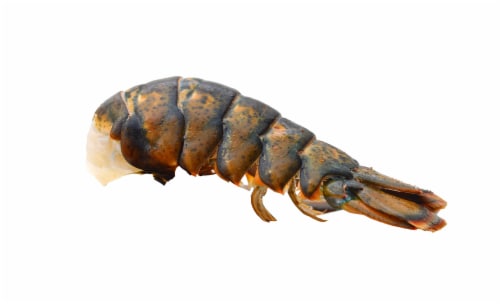 Lobster Tail Perspective: front