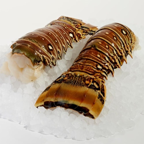 Wild Caught Lobster Tail 4-5 oz. (1 Lobster Tail) Perspective: front