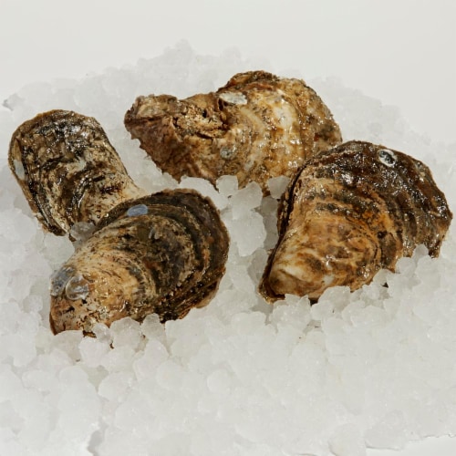 Buy Fresh Oysters Online From These 5 Websites 