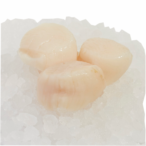 Wild Caught Sea Scallops 20/30 per Pound Perspective: front