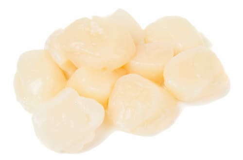 Harris Teeter 20/30 CT Fresh Sea Scallops Perspective: front