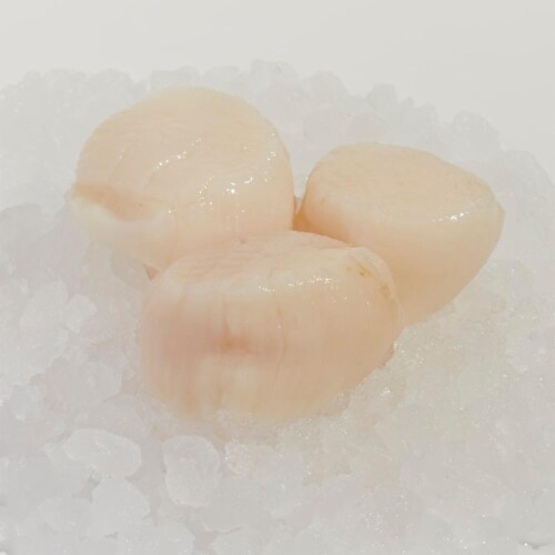 Wild Caught Sea Scallops Perspective: front