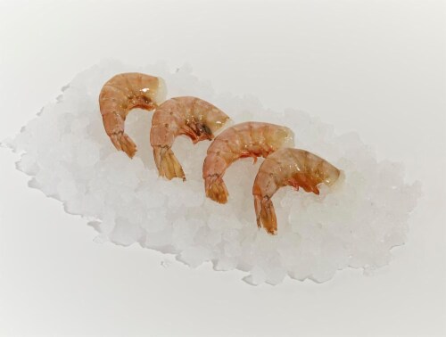 Wild Caught Gulf Shrimp 36/40 per Lb Perspective: front