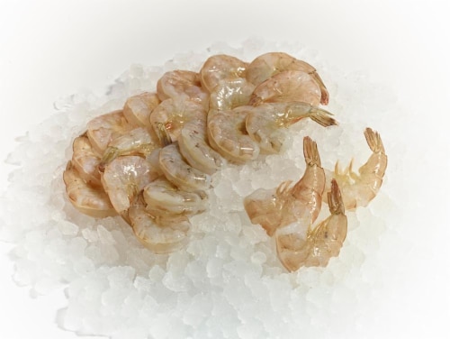 Raw White Shirmp EZ Peel 31-40 per Pound Perspective: front
