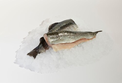 Farm Raised Butterflied Rainbow Trout Fillets Perspective: front
