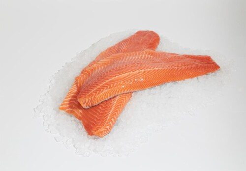 Farm Raised Steelhead Trout Perspective: front