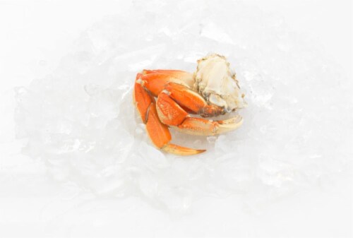 Dungeness Crab Cluster Perspective: front