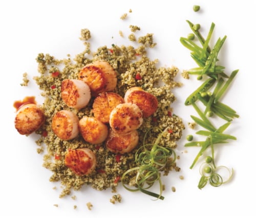 Sea Scallops Perspective: front