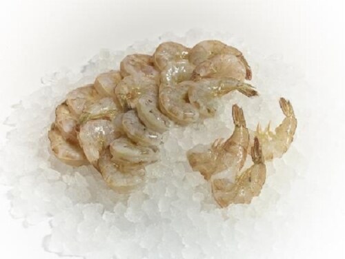 Raw White Shrimp 21/25 per Pound Perspective: front
