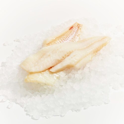 Cod Filet Perspective: front