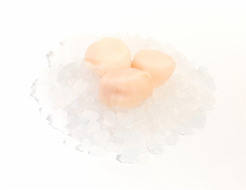 Jumbo Scallops Perspective: front