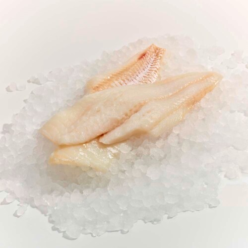 Kosher Whitefish Fillets Perspective: front