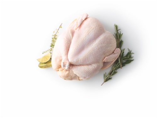 Whole Chicken Perspective: front