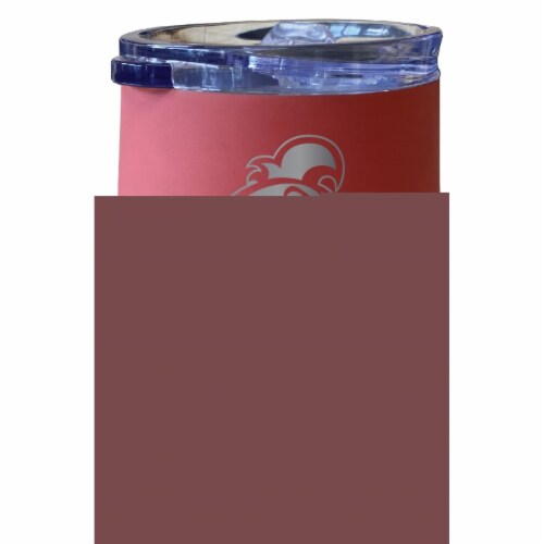 R & R Imports ITWE-C-CCU20C Coastal Carolina University 12 oz Insulated Wine Stainless Steel Perspective: front
