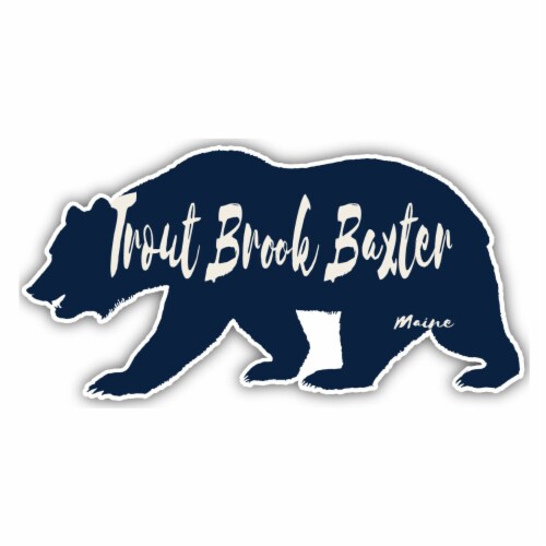 Trout Brook Baxter Maine Souvenir Decorative Stickers (Choose theme and size) Single Unit Perspective: front