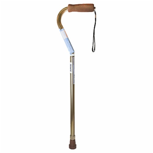 Walgreens Offset Cane Perspective: front