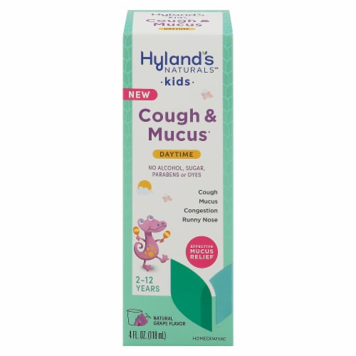 Hyland's Naturals™ Kids Grape Cough & Mucus Daytime Supplement Perspective: front