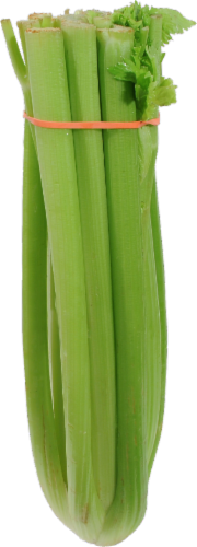 Organic Celery Perspective: front