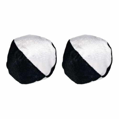 Dryer Maid Ball - 2 Pack Perspective: front