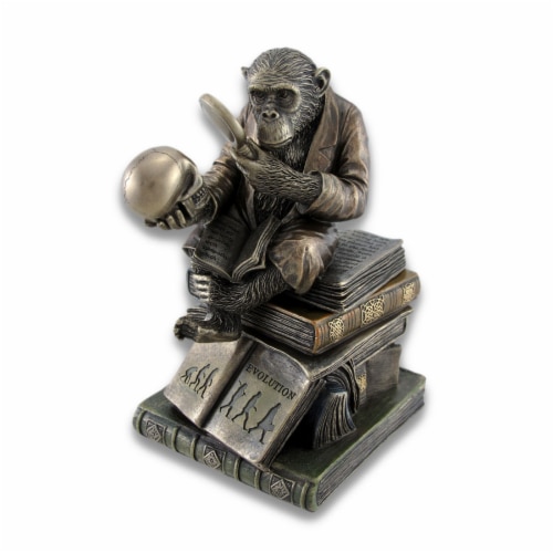 Smart Chimpanzee Scholar Trinket Box Stash Box Perspective: front