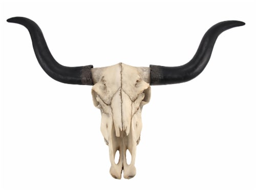 Longhorn Wall Mount Resin Skull w/ Horns Longhorn Wall Mount Resin Skull w/ Horns