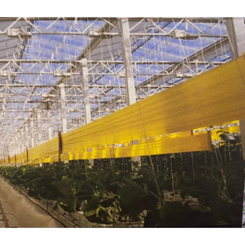 Catchy 33FT double Sided Fly Trap Film Perspective: front