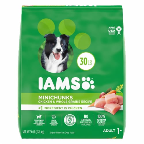 High protein dog deals food for small dogs