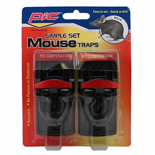 Simple mouse trap discount