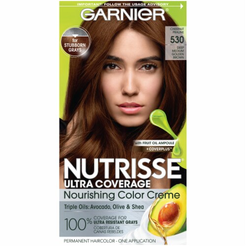 Garnier Nutrisse Ultra Coverage Chestnut Praline 530 Deep Medium Golden  Brown Nourishing Hair Color, 1 ct - Dillons Food Stores