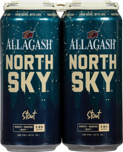 Allagash North Sky Stout Beer Perspective: front