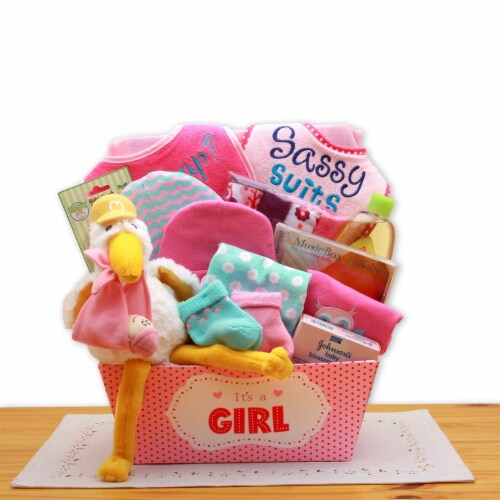 A Special Delivery New Baby Gift Basket- Pink Perspective: front