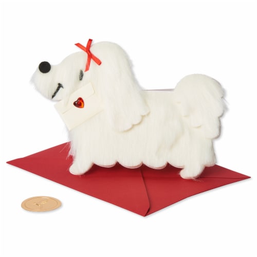 Papyrus Valentine's Day Greeting Card (White Fur Dog with Letter) Perspective: front