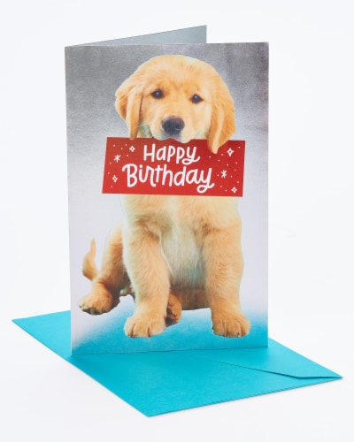 American Greetings #30 Birthday Card (Puppy) Perspective: front