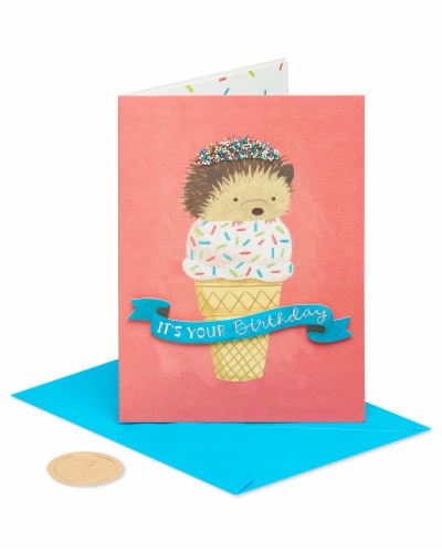 Papyrus Birthday Card - Hedgehog (#44) Perspective: front