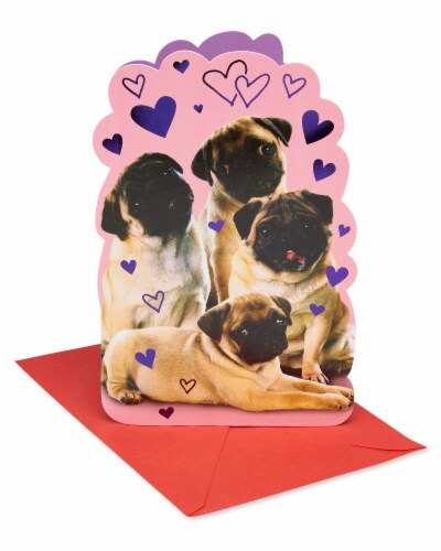 American Greetings Valentine's Day Card (Pugs) Perspective: front