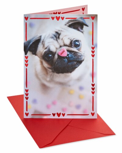 American Greetings Valentine's Day Card (Pug with Candy Heart) Perspective: front