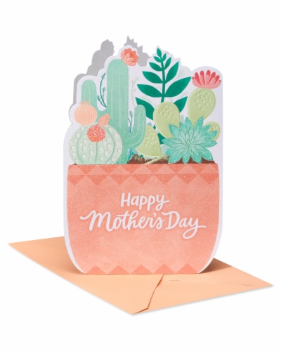 American Greetings #61 Mother's Day Card (Potted Succulents) Perspective: front